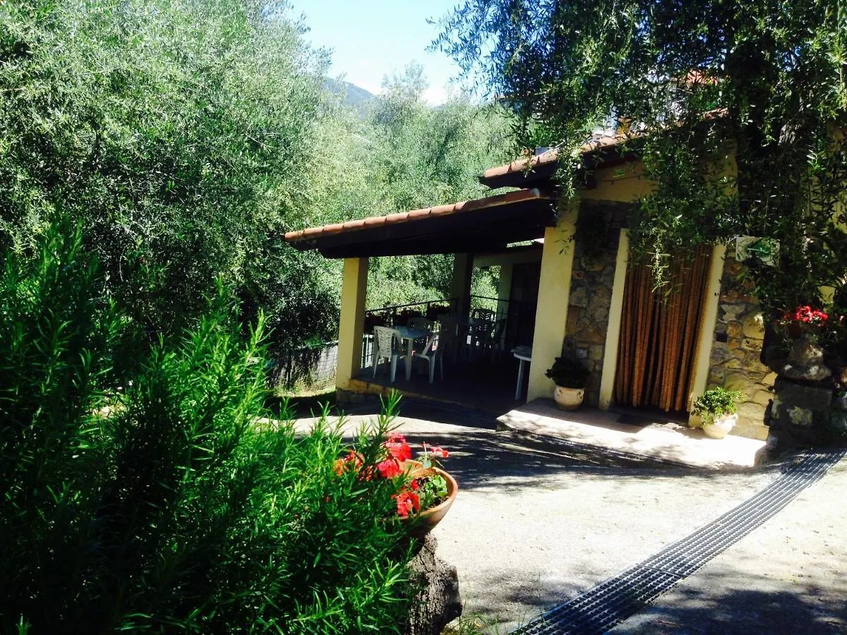 Casa Vacanze Uliveto ボルディゲーラ
